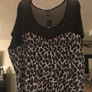 Torrid Top
